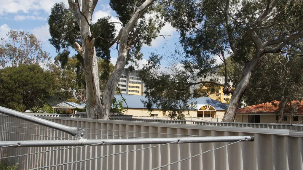 Ribbed asbestos cement fence along a suburban backyard, with gum trees behind